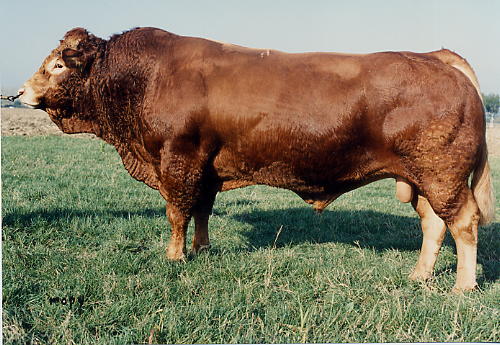 EPSON - Limousin